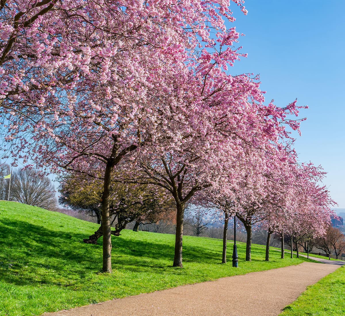 About Us | Nodes Funeral Directors